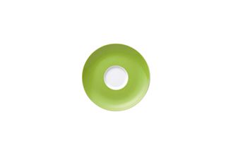 Thomas Sunny Day - Apple Green Tea Saucer Saucer 4 Tall / 4 Low 14.5cm