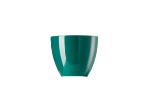 Thomas Sunny Day - Seaside Green Egg Cup