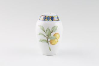 Royal Doulton Carmina - T.C.1277 Pepper Pot White Background 3"