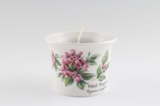 Royal Worcester Worcester Herbs Candle thumb 1