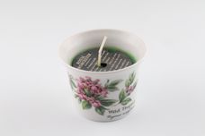 Royal Worcester Worcester Herbs Candle thumb 2