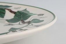 Wedgwood Napoleon Ivy - Green Edge Dinner Plate Dipped and raised rim 10 1/4" thumb 2
