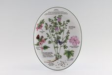 Royal Worcester Worcester Herbs Serving Dish Oval - Mallow 8 1/2" x 6 1/2" thumb 1