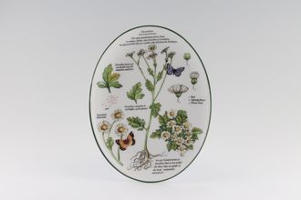 Sell Royal Worcester Worcester Herbs Wall Plate Oval - Feverfew 8 1/2" x 6 1/2"