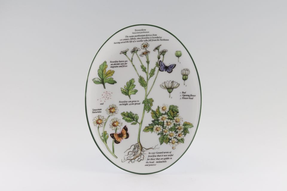 Royal Worcester Worcester Herbs Wall Plate Oval - Feverfew 8 1/2" x 6 1/2"