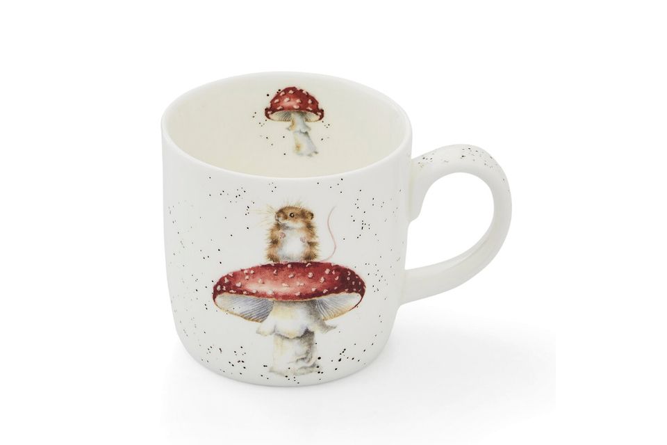 Royal Worcester Wrendale Designs Mug He's a Fun-gi (mouse & mushroom) 310ml