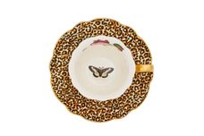 Spode Creatures of Curiosity Teacup & Saucer White/Leopard 0.25l thumb 3