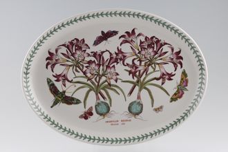 Sell Portmeirion Botanic Garden - Older Backstamps Oval Platter Amaryllis Reginae- Mexican Lily 14 3/4"