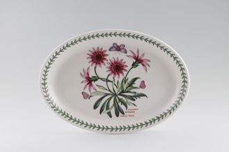 Portmeirion Botanic Garden Oval Platter Gazania Ringens - Treasure Flower 10 3/4"