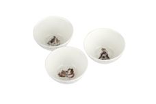 Royal Worcester Wrendale Designs Bowl and Tray Set Guinea Pigs thumb 5