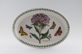 Portmeirion Botanic Garden - Older Backstamps Oval Plate Dianthus Barbatus - Sweet William - Not Rimmed. 10 5/8"