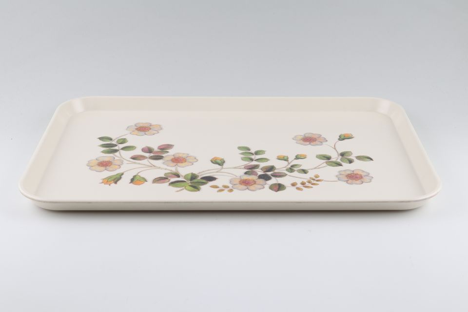 Marks & Spencer Autumn Leaves Serving Tray no handles 16 1/4" x 11 1/2"