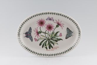 Portmeirion Botanic Garden Oval Platter Treasure Flower (2 Extra Butterflys On The Side) 10 3/4"