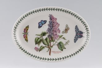 Portmeirion Botanic Garden - Older Backstamps Oval Plate Syringa Vulgaris Garden Lilac - Not Rimmed 10 5/8"