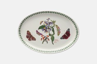 Portmeirion Botanic Garden Oval Platter Solanum Dulcamara-Woody Nightshade 12 3/4"