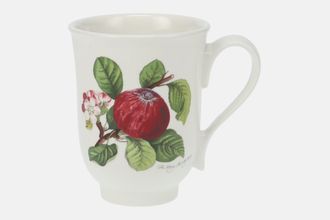 Sell Portmeirion Pomona Mug The Hoary Morning Apple 3 3/8" x 4 1/4"