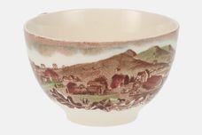 Johnson Brothers Historic America-Brown with Coloured Scenes Teacup 3 1/2" x 2 1/4" thumb 3