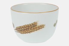 Royal Worcester Wild Harvest - Gold Rim Sugar Bowl - Open (Tea) Brown Rim 4" thumb 3