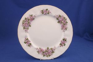 Paragon Mayflower Dinner Plate