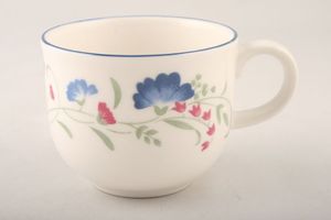 Royal Doulton Windermere - Expressions Teacup