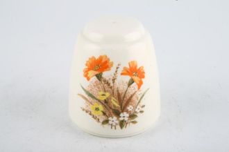 Marks & Spencer Field Flowers Salt Pot melamine