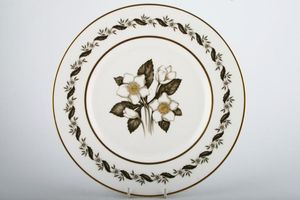 Royal Worcester Bernina Dinner Plate