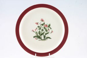 Wedgwood Mayfield - Ruby Dinner Plate