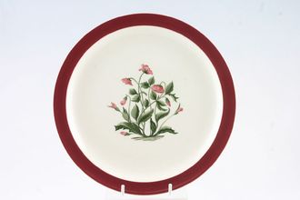 Wedgwood Mayfield - Ruby Dinner Plate 10"