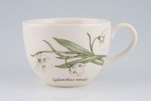 Wedgwood Sarah's Garden - Snowdrop Teacup