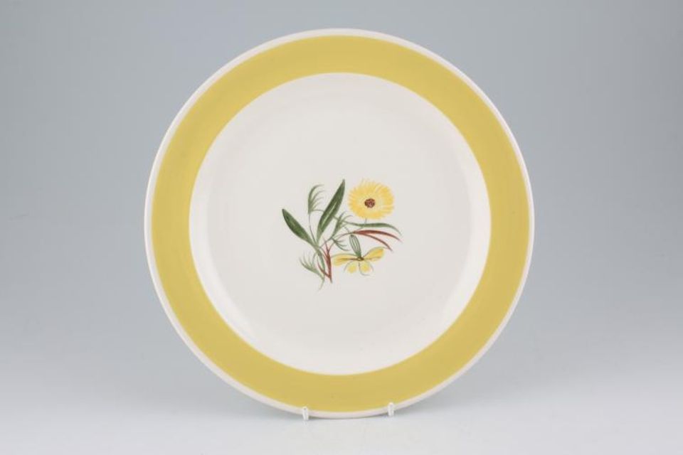 Susie Cooper Marigold Dinner Plate 10"