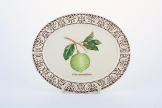 Sell Wedgwood Sarah's Garden Sauce Boat Stand 6 3/8"