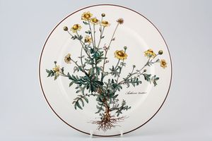 Villeroy & Boch Botanica - Brown or Black Backstamp Dinner Plate