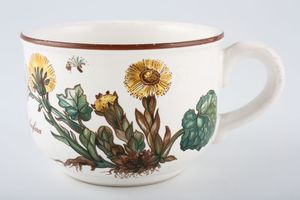 Villeroy & Boch Botanica - Brown or Black Backstamp Teacup