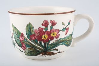 Villeroy & Boch Botanica - Brown or Black Backstamp Breakfast Cup Unglazed 3 3/4" x 2 3/4"
