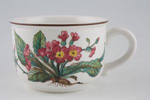 Villeroy & Boch Botanica - Brown or Black Backstamp Breakfast Cup