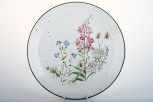 Meakin Wayside - Rounded Edge Dinner Plate