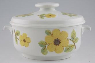 Sell Royal Doulton Summer Days Casserole Dish + Lid Oval 3pt