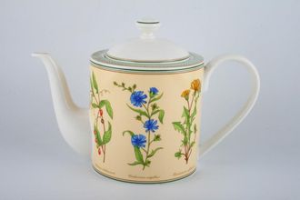 Sell Villeroy & Boch Eden Teapot 2pt