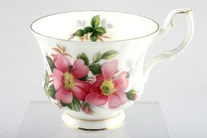 Royal Albert Prairie Rose Teacup