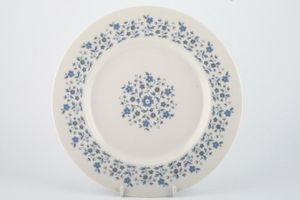 Royal Doulton Galaxy - T.C.1038 Dinner Plate