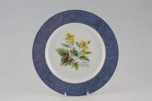 Royal Worcester Worcester Herbs - Thick Blue Rim Salad/Dessert Plate
