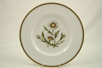 Royal Worcester Daisy Breakfast / Lunch Plate Hand Painted 9 1/4"