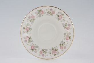 Minton Spring Bouquet Soup Cup Saucer See Breakfast Saucers 6 1/8"