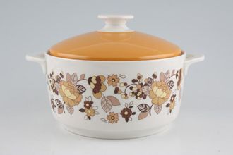 Royal Doulton Indian Summer - T.C.1099 Casserole Dish + Lid OTT 2 ring style handles/Round 2pt