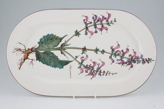 Villeroy & Boch Botanica - Brown or Black Backstamp Oblong Platter 15 1/4"