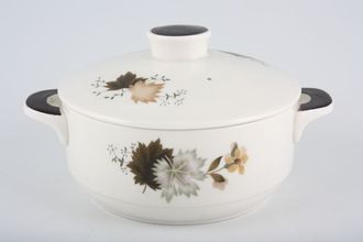 Sell Royal Doulton Westwood - T.C.1025 Casserole Dish + Lid 2 Handles O.T.T.- Individual 1/2pt