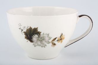 Royal Doulton Westwood - T.C.1025 Breakfast Cup 4" x 2 5/8"