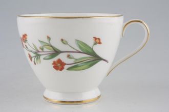 Sell Minton Meadow - S745 - Gold Edge Teacup 3 3/8" x 2 5/8"