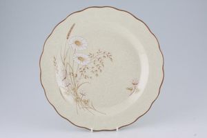 Royal Doulton Norfolk - L.S.1050 Dinner Plate