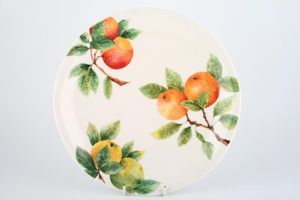 Royal Doulton Citrus Grove - T.C.1192 Dinner Plate